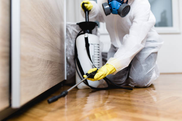 Best Flea Control Services  in Springdale, NJ