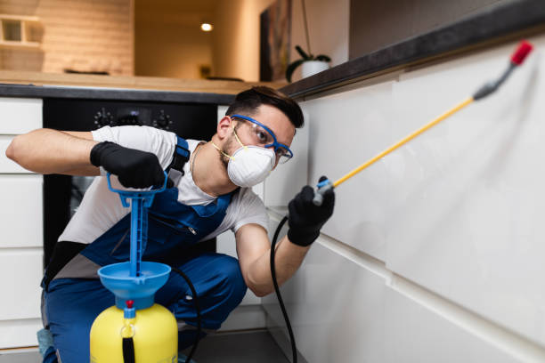 Best Pest Inspection Near Me  in Springdale, NJ