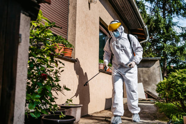 Best Best Pest Control Companies  in Springdale, NJ