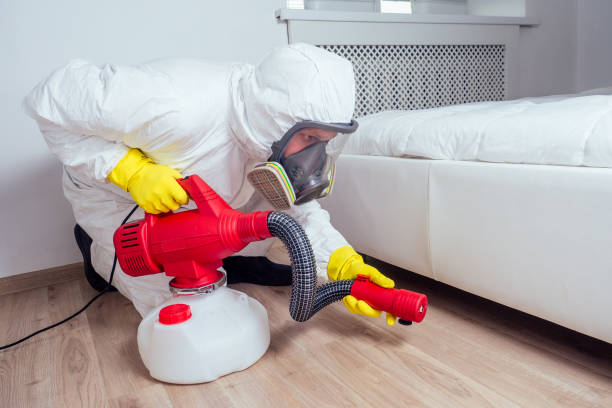 Best Residential Pest Control  in Springdale, NJ