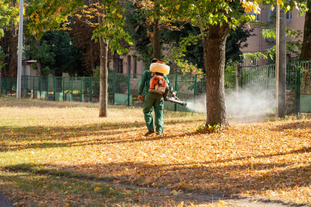 Best Affordable Pest Control Services  in Springdale, NJ