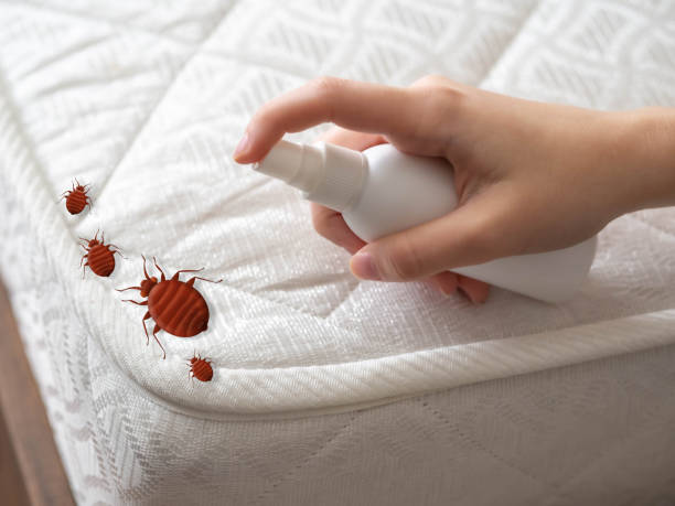 Springdale, NJ Pest Control Company