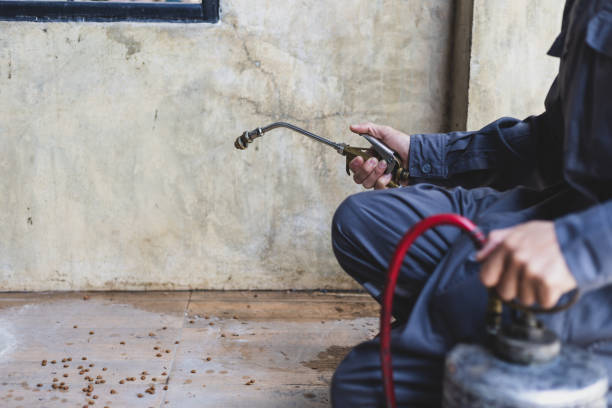 Best Best Pest Control Companies  in Springdale, NJ